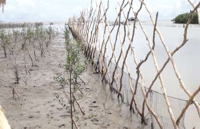 Kiên Giang tạo bãi ngăn sạt lở bờ biển 