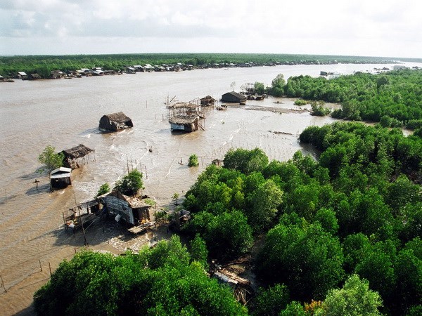 Đẩy mạnh ứng phó tổng hợp với biến đổi khí hậu cho Đồng bằng sông Cửu Long