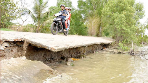 Mùa mưa, nhiều địa phương ở Cà Mau đối mặt với nguy cơ sạt lở 