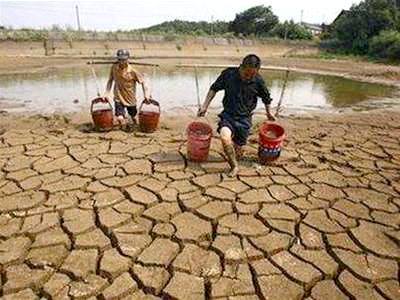 Phú Thọ: Ứng phó với biến đổi khí hậu trong nông nghiệp 