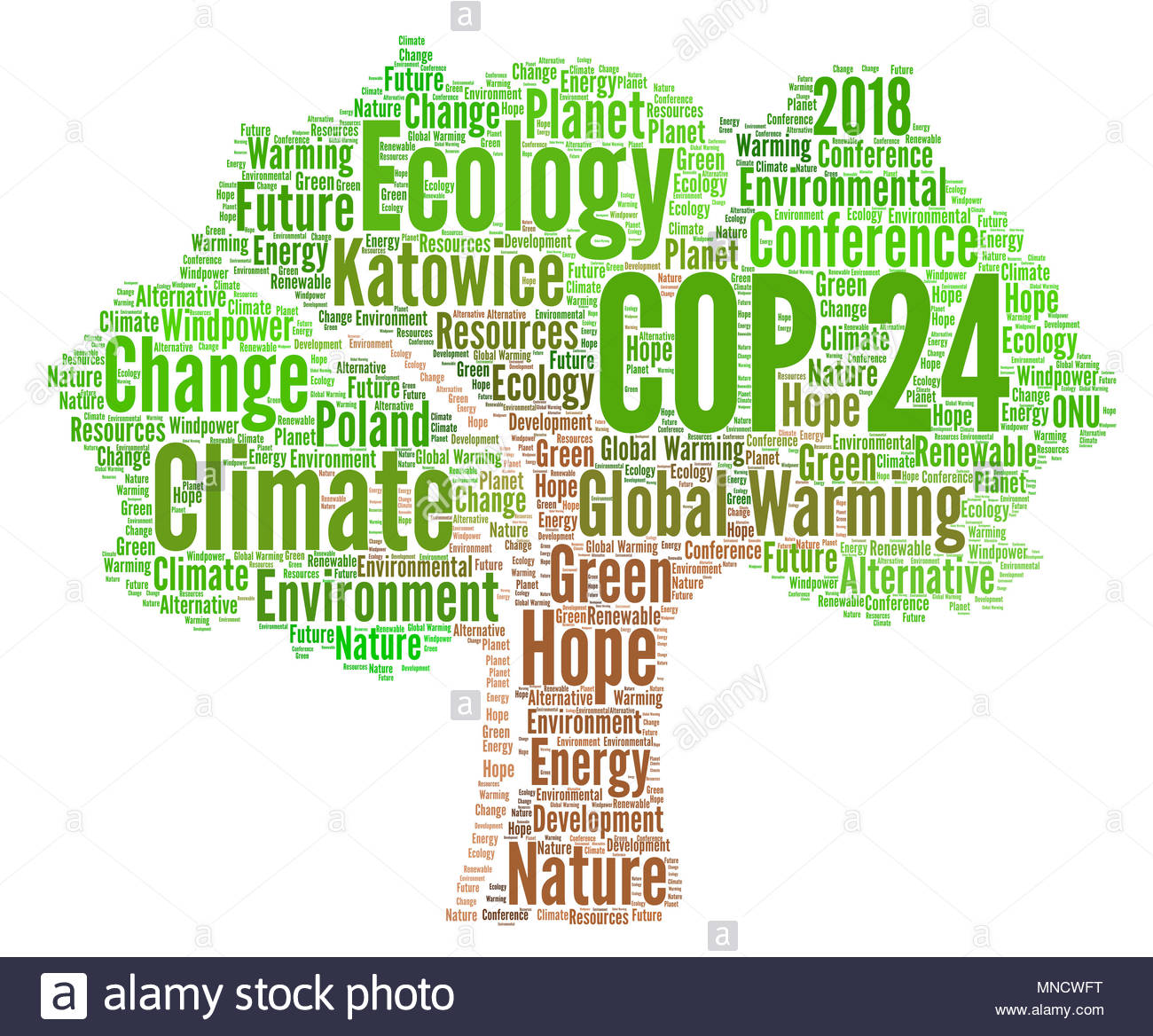 Trước thềm Hội nghị cấp cao của Liên Hợp Quốc về chống biến đổi khí hậu lần thứ 24