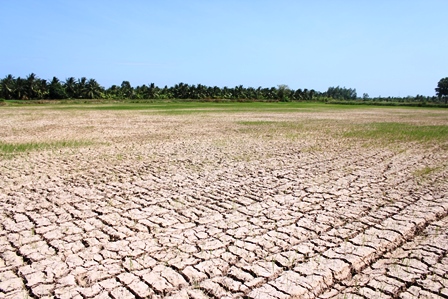 ĐBSCL: Vẫn thiếu nước dù không nghiêm trọng như năm ngoái
